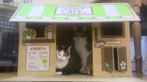 段ボール  飯島建設株式会社