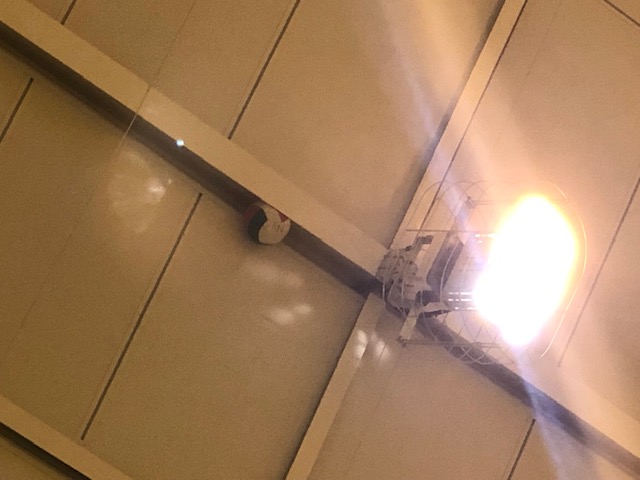 体育館あるある 飯島建設株式会社